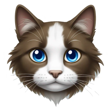 Long haired brown white and black cat with blue eyes sticker