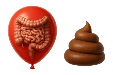 intestino umano anatomico chiuso in un palloncino rosso che simboleggia gonfiore, accanto un simbolo di cacca che simboleggia "diarrea", iperrealistico 4k sticker