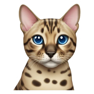 Seal Bengal cat with Blue eyes sitting sticker