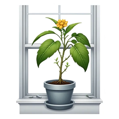 Sad Plant on the window sticker