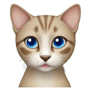 Dark Brown face - beige body thai female cat with blue eyes  sticker