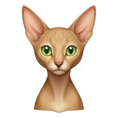 Orientalisch Kurzhaar sticker