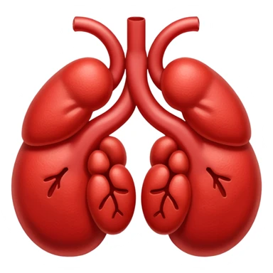 kidneys sticker