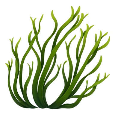 kelp sticker