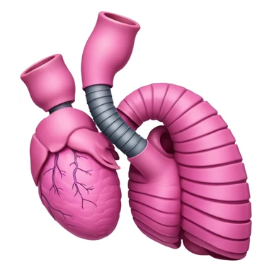 human esophagus medical appearance sticker