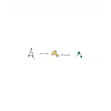 Organized hormone action sequence: three-panel hand-drawn diagram showing 1) purple hormone molecule icon, 2) yellow receptor binding event, and 3) green cellular response. Clean layout with simple arrows connecting events and minimal clean design. sticker