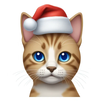 Cat with blue eyes wearing a Santa hat sticker