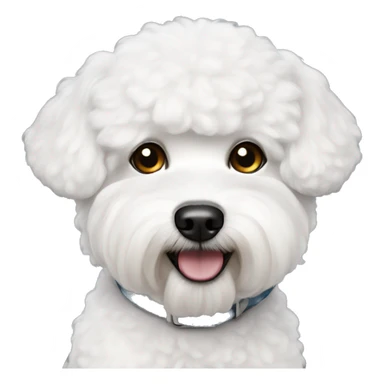 small white bichon frise dog sticker