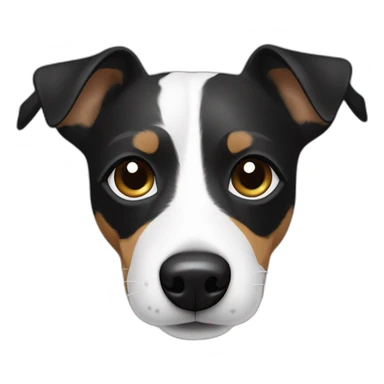 Jack Russell noir et blanc avec une tache noir sur l’œil sticker