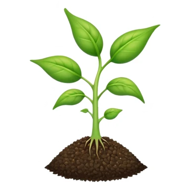 young shoot emerging from a seed sticker