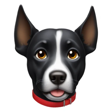 black dog, playful, running, big jowls, sad puppy eyes, wings, winged dog, angel wings,red collar sticker