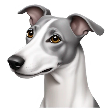 Grey and white whippet sticker