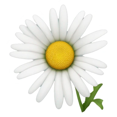 White daisy sticker