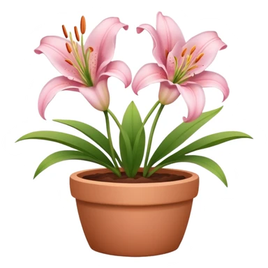 light pink lily flowers in a clay pot sticker