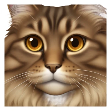  Brown siberian cat and golden eyes sticker