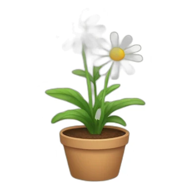 Daisie flower in a pot sticker