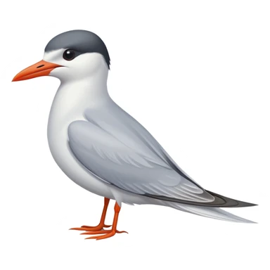 Common tern sticker