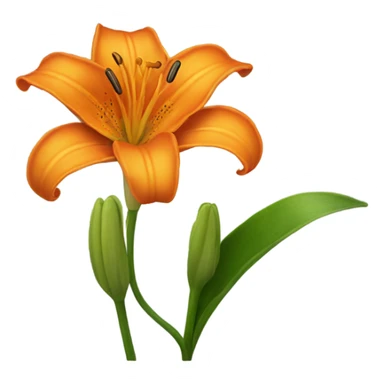 one orange lily sticker