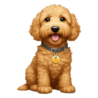 Mini goldendoodle with apricot colored fur, neutral collar and dog tag says “autumn” sticker