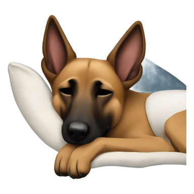 Belgian malinois is sleeping sticker