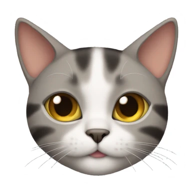 Cat Wearing cloves sticker