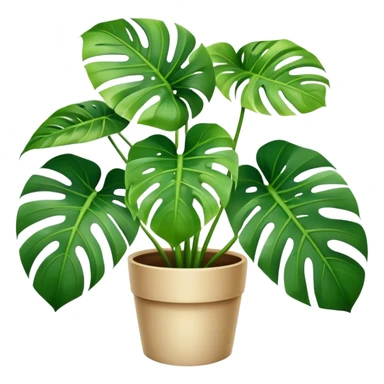 Monstera plant sticker