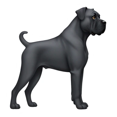 dog Cane Corso in profile sticker