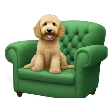 Goldendoodle on green couch sticker