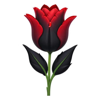 single goth tulip with black petals and heart-shaped tag sticker