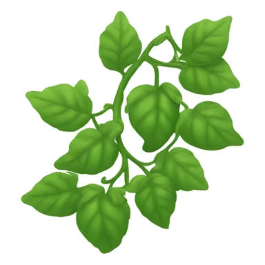 Vine  sticker