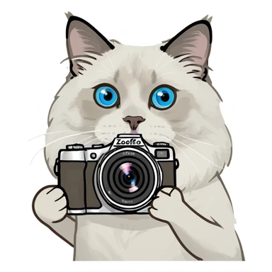 Ragdoll cal holding a camera  sticker