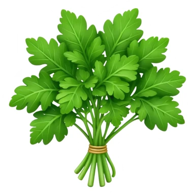 Apple style 3D emoji of fresh parsley, small green leaves with curly texture, shiny and smooth, simple toy-like look, similar to official Apple food emojis. sticker
