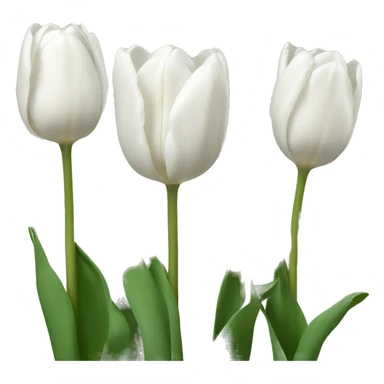 White tulips  sticker