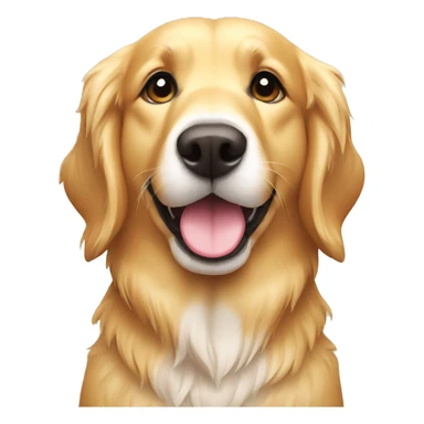 golden retriever with coconut sticker