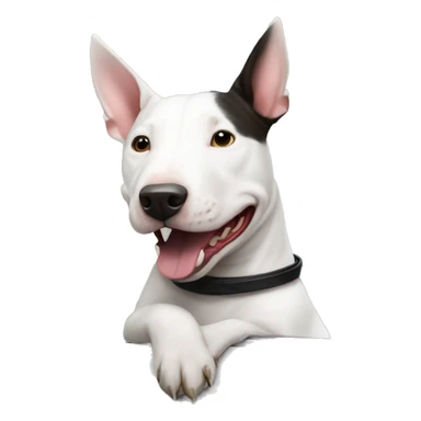White bull terrier driving tesla sticker