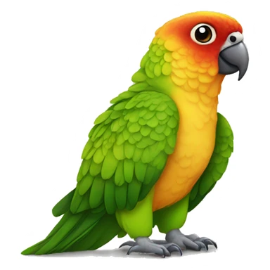 conure sticker