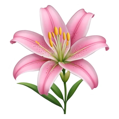 Lily flower pink sticker