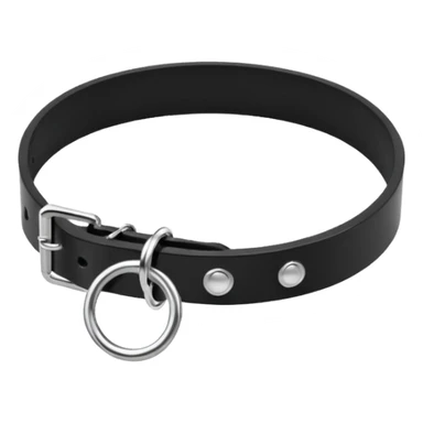 Collar – black leather with silver O-ring. sticker