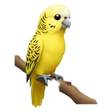 Yellow budgie sticker
