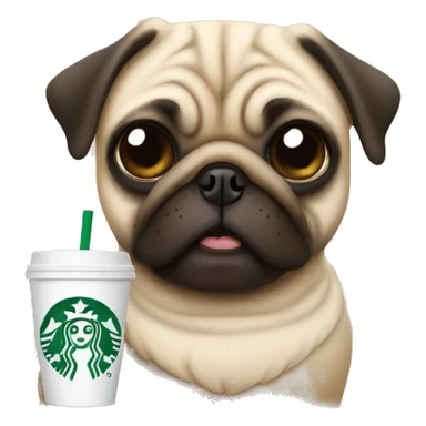 Pug drinking starbucks coffee sticker
