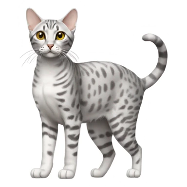 Egyptian Mau cat walking sticker