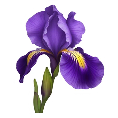 Violet iris flower sticker