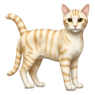 Light Cream tabby full body sticker