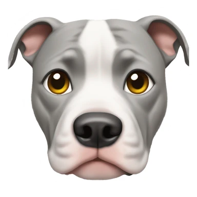 Pitbull with grey hairs sticker