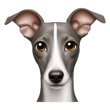 italian greyhound sticker