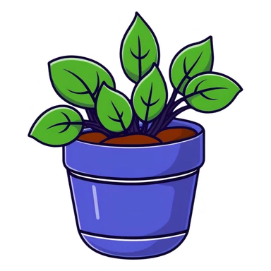 Young Plectranthus Verticillatus sprouts with perfectly circular penny-shaped leaves in a modern metallic planter sticker