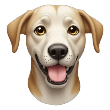 perro anciano sticker