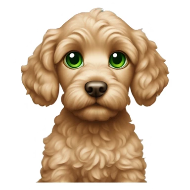 apricot cockapoo puppy with green eyes sticker