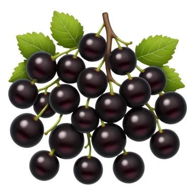 Currants  sticker