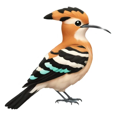 Eurasian hoopoe sticker